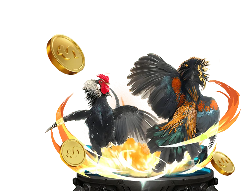 Giới thiệu tổng quan về Câu lạc bộ VIP 33win.8