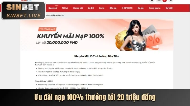 Ưu Đãi Đặc Biệt Dành Cho VIP